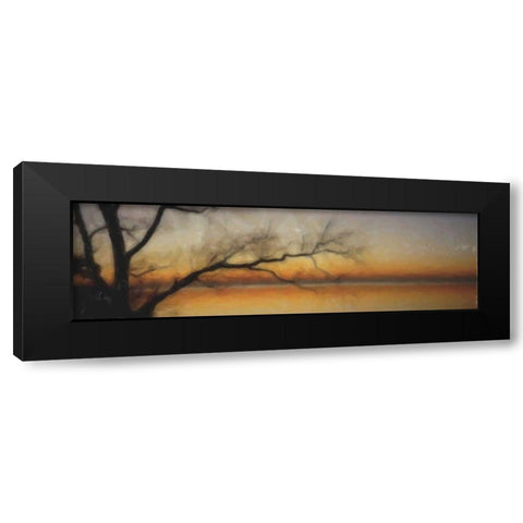 Tranquil Tree Silhouette Black Modern Wood Framed Art Print with Double Matting by Greene, Taylor