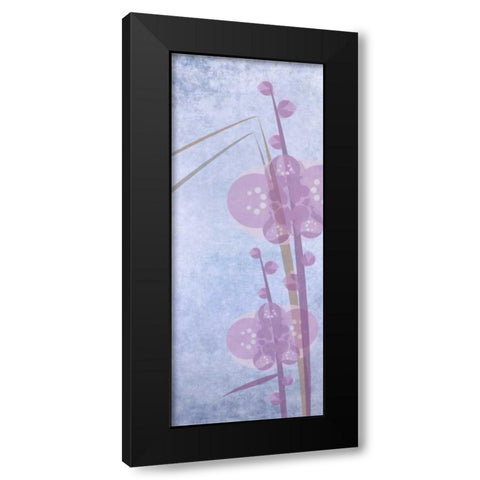 Orchids 1 Black Modern Wood Framed Art Print with Double Matting by Greene, Taylor