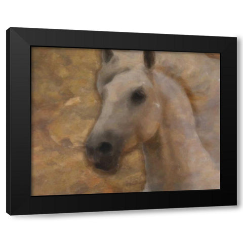 GOLDEN MARE Black Modern Wood Framed Art Print by Greene, Taylor