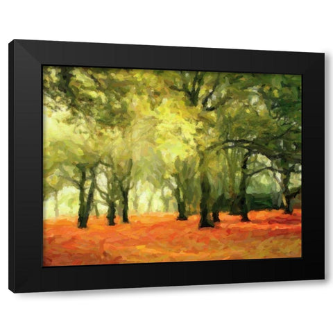 CRIMSON FOREST FLOOR Black Modern Wood Framed Art Print with Double Matting by Greene, Taylor