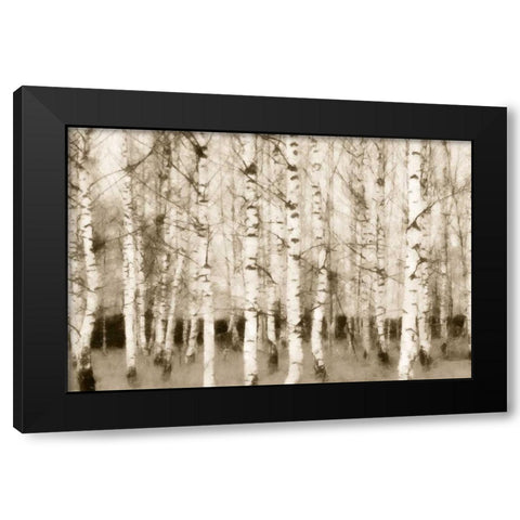 Sepia Timber Black Modern Wood Framed Art Print by Greene, Taylor