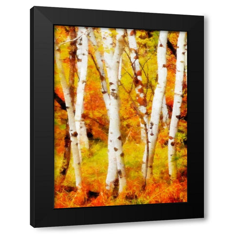 Glowing Forrest Black Modern Wood Framed Art Print by Greene, Taylor