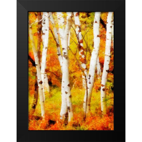 Glowing Forrest Black Modern Wood Framed Art Print by Greene, Taylor
