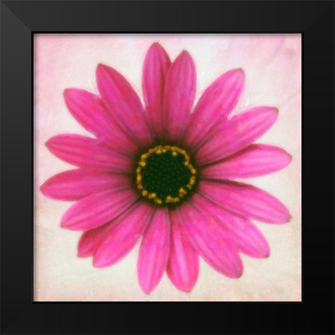 DAISY CHAIN 1 Black Modern Wood Framed Art Print by Greene, Taylor