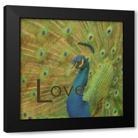 Peacock Love C Black Modern Wood Framed Art Print by Greene, Taylor