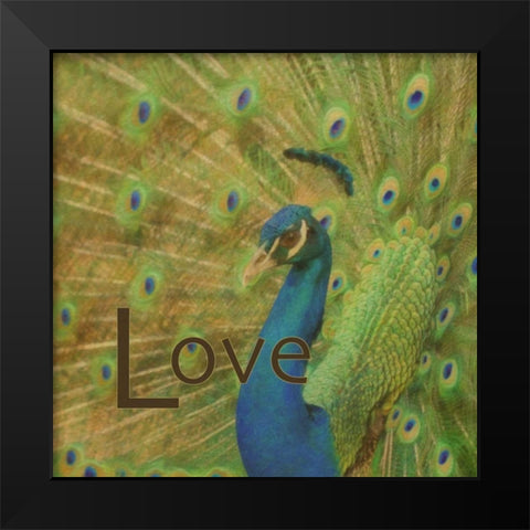 Peacock Love C Black Modern Wood Framed Art Print by Greene, Taylor