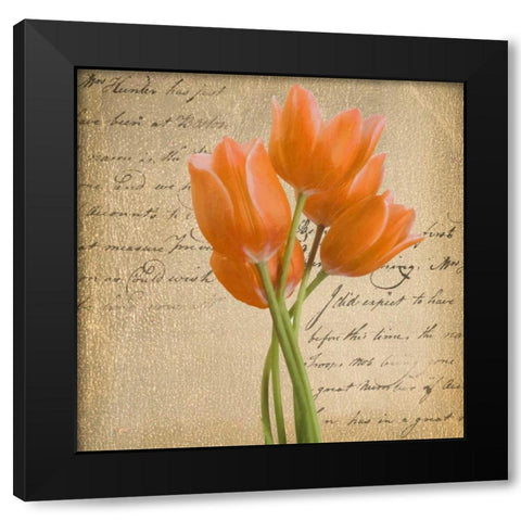ORANGE TULIP II ON GOLD Black Modern Wood Framed Art Print with Double Matting by Greene, Taylor
