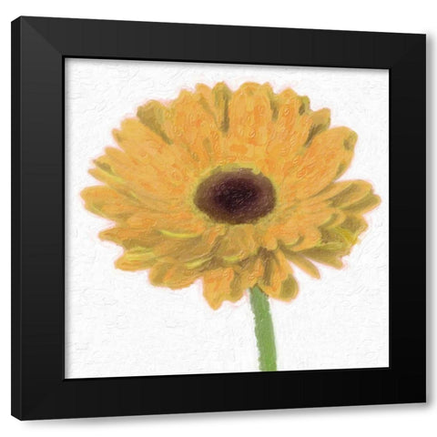 GERBER Black Modern Wood Framed Art Print with Double Matting by Greene, Taylor