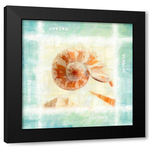 Calming Shells Black Modern Wood Framed Art Print with Double Matting by Greene, Taylor