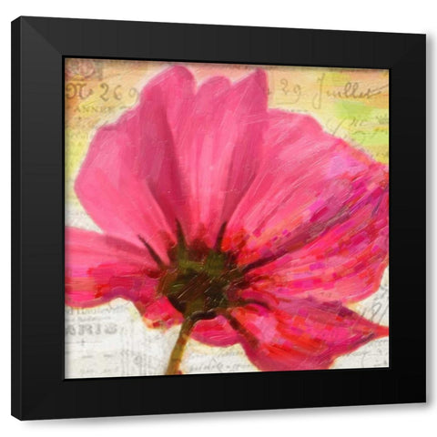 Red Poppy II Black Modern Wood Framed Art Print with Double Matting by Greene, Taylor