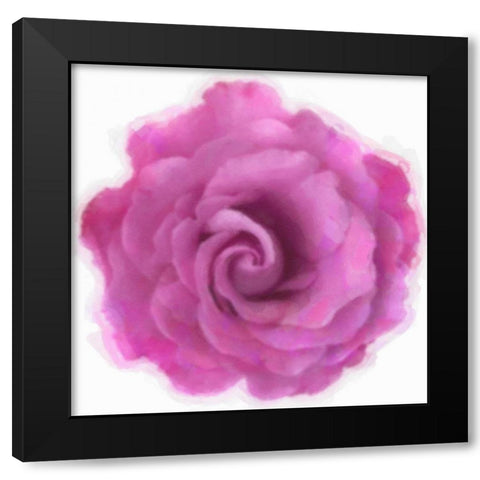 Pink Rose Black Modern Wood Framed Art Print by Greene, Taylor