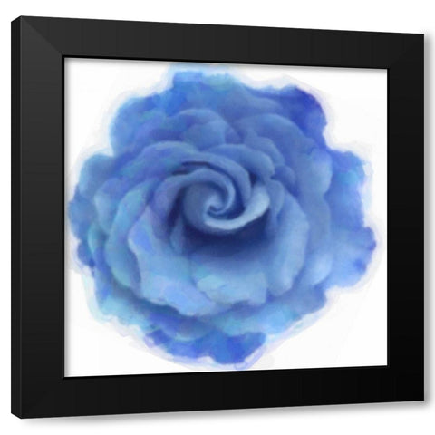 Blue Rose Black Modern Wood Framed Art Print with Double Matting by Greene, Taylor