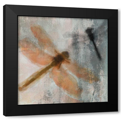 Dragons Fly 1 Black Modern Wood Framed Art Print with Double Matting by Greene, Taylor