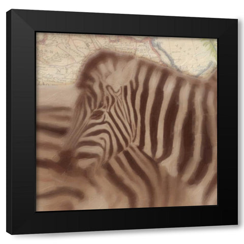 Zebra Travels Black Modern Wood Framed Art Print with Double Matting by Greene, Taylor