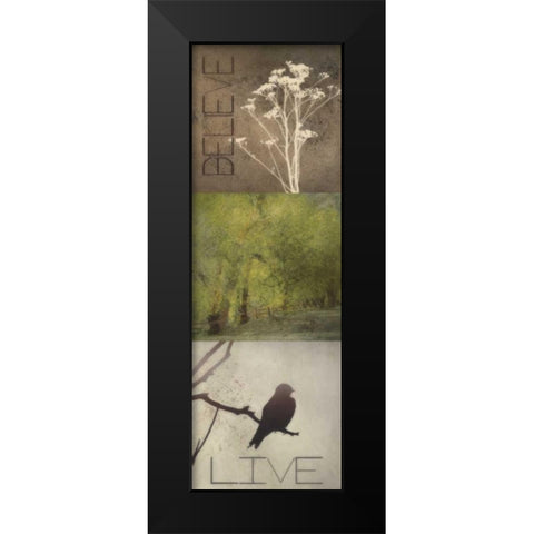 SIlhouette Beauty  A Black Modern Wood Framed Art Print by Greene, Taylor