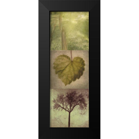 SILHOUETTE BEAUTY  B Black Modern Wood Framed Art Print by Greene, Taylor