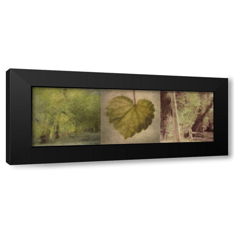 SILHOUETTE BEAUTY E Black Modern Wood Framed Art Print with Double Matting by Greene, Taylor