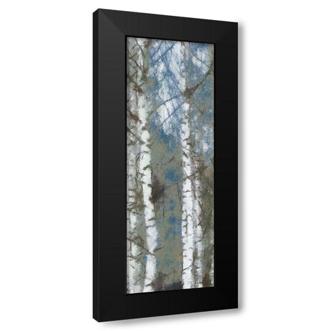 Birch Scape 1 Black Modern Wood Framed Art Print with Double Matting by Greene, Taylor