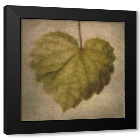 Leaf Silhouette Black Modern Wood Framed Art Print with Double Matting by Greene, Taylor