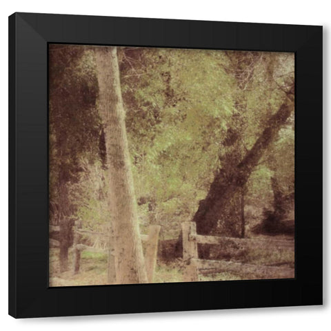 Tree Silhouette Black Modern Wood Framed Art Print with Double Matting by Greene, Taylor