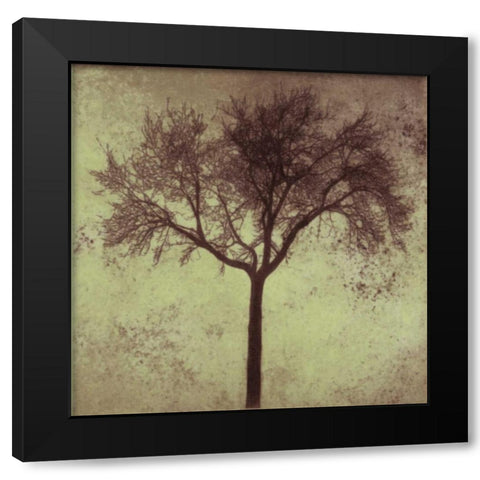A Tree Silhouette Black Modern Wood Framed Art Print with Double Matting by Greene, Taylor