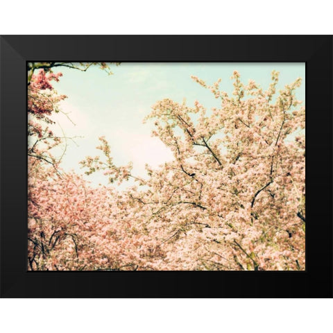 Cream Apple Blossoms Black Modern Wood Framed Art Print by Telik, Tracey