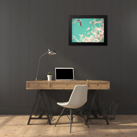 Apple Sky Black Modern Wood Framed Art Print by Telik, Tracey