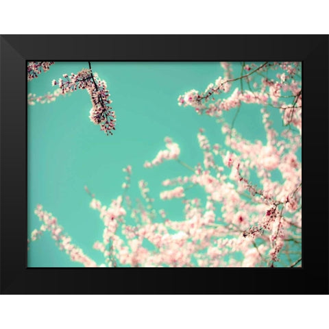 Apple Sky Black Modern Wood Framed Art Print by Telik, Tracey