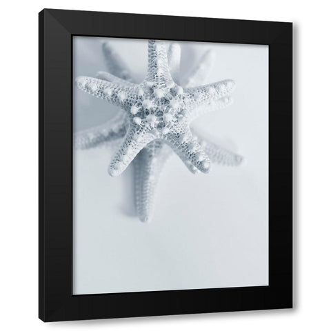 Starfish Black Modern Wood Framed Art Print by Telik, Tracey