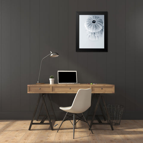 Urchins Black Modern Wood Framed Art Print by Telik, Tracey