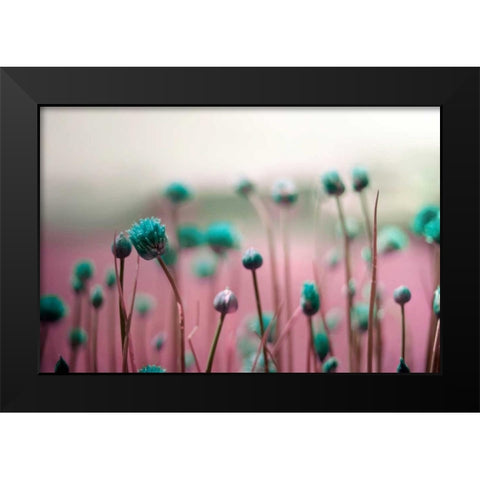 Journey Thru The Field Black Modern Wood Framed Art Print by Telik, Tracey