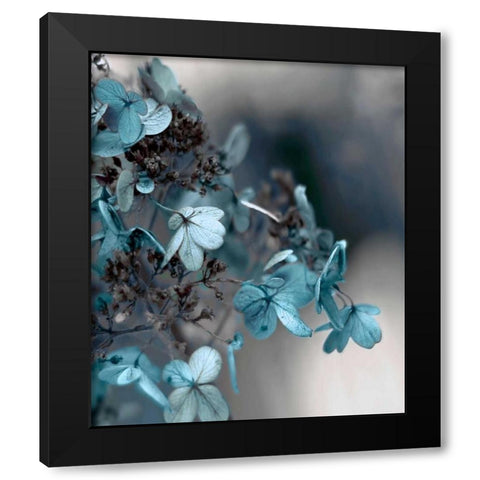 Blue Hydrangea Black Modern Wood Framed Art Print by Telik, Tracey