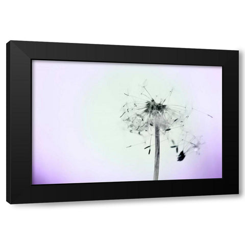 Wishes On A Wind Black Modern Wood Framed Art Print by Telik, Tracey