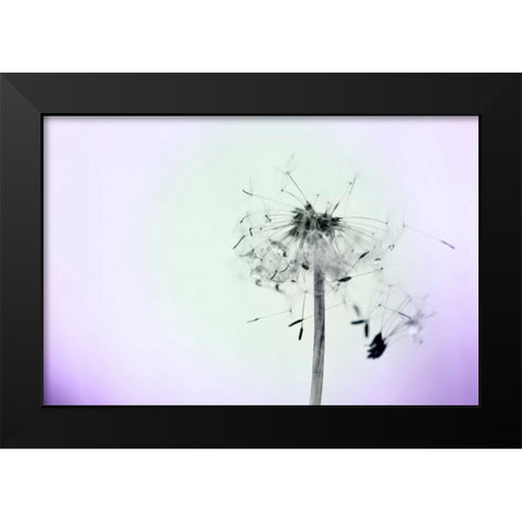 Wishes On A Wind Black Modern Wood Framed Art Print by Telik, Tracey