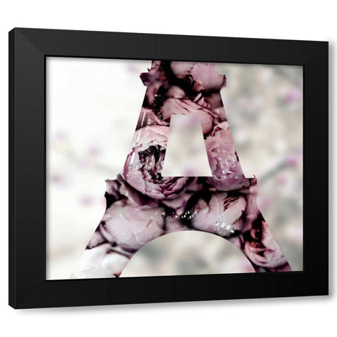 Pale Rose Black Modern Wood Framed Art Print with Double Matting by Telik, Tracey