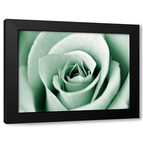 Jade Rose Black Modern Wood Framed Art Print by Telik, Tracey