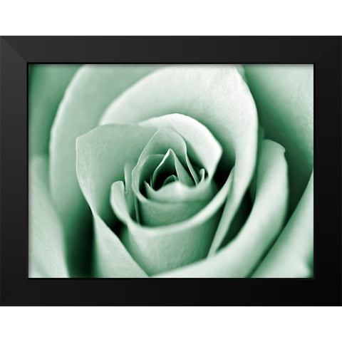 Jade Rose Black Modern Wood Framed Art Print by Telik, Tracey