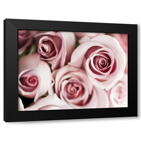 Blush Tone Bouquet Black Modern Wood Framed Art Print with Double Matting by Telik, Tracey