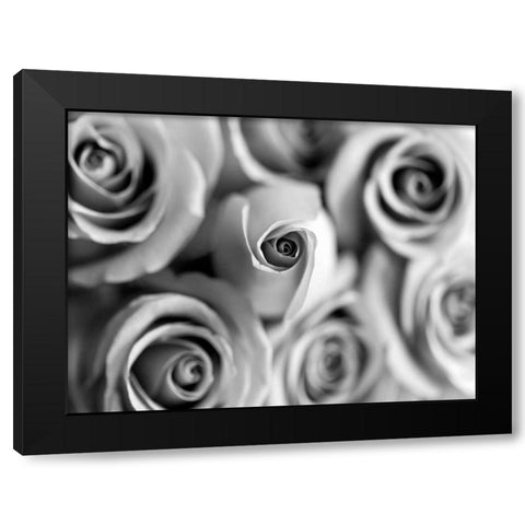 Monotone Bouquet Black Modern Wood Framed Art Print with Double Matting by Telik, Tracey