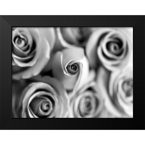 Monotone Bouquet Black Modern Wood Framed Art Print by Telik, Tracey
