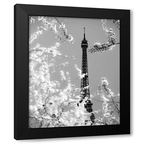 Spring Eiffel BW Black Modern Wood Framed Art Print by Telik, Tracey