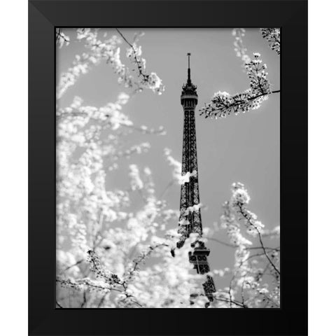 Spring Eiffel BW Black Modern Wood Framed Art Print by Telik, Tracey