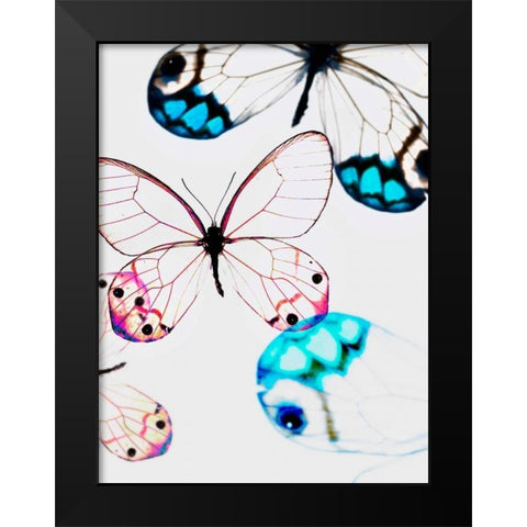 Glasswings Black Modern Wood Framed Art Print by Telik, Tracey