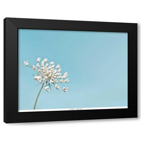 Lace 1 Blue Black Modern Wood Framed Art Print by Telik, Tracey