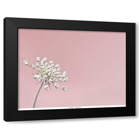 Lace 1 Pink Black Modern Wood Framed Art Print with Double Matting by Telik, Tracey