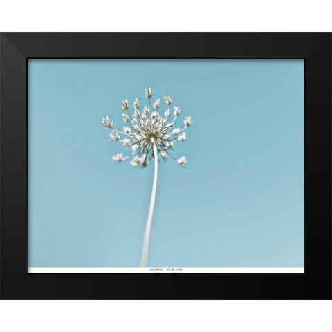 Lacey 2 Black Modern Wood Framed Art Print by Telik, Tracey