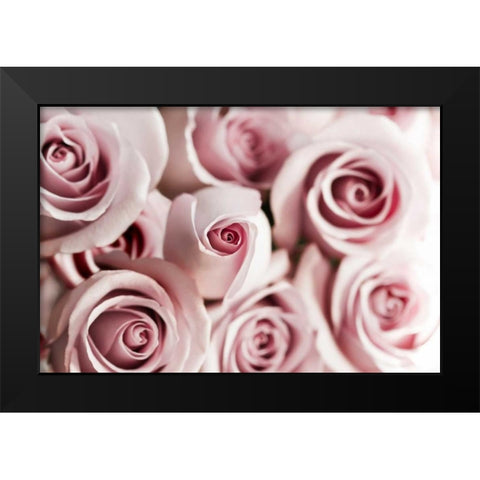 Rosa Dafydal Black Modern Wood Framed Art Print by Telik, Tracey