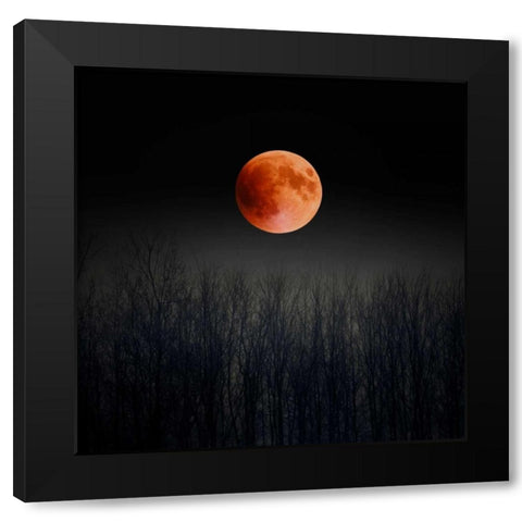 Blood Moon Black Modern Wood Framed Art Print by Telik, Tracey