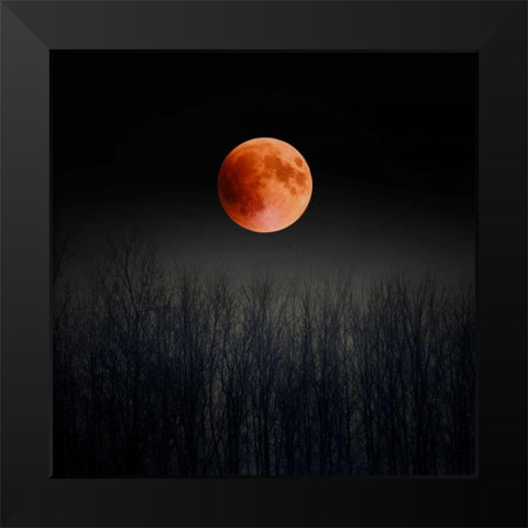 Blood Moon Black Modern Wood Framed Art Print by Telik, Tracey