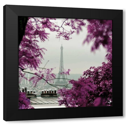Through The Paris Foliage 1 Black Modern Wood Framed Art Print by Telik, Tracey